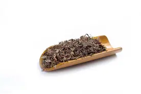 金钱草，胆汁反流性胃炎的克星，方法简单，从根源抑制反酸！图片