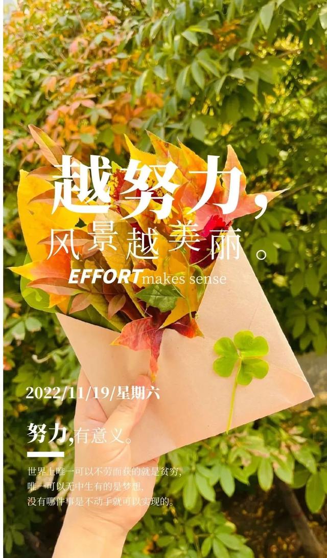 「2022.11.19」早安心语，正能量暖心语录句子 清晨激励人心的图片