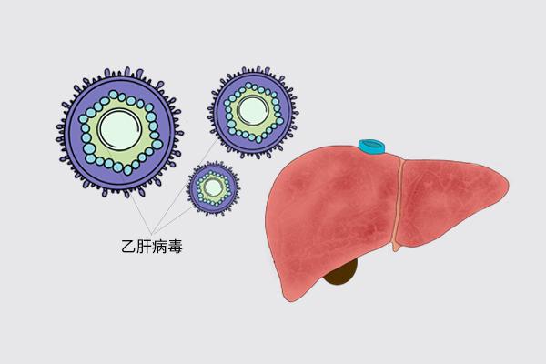 小三阳是乙肝病毒携带者吗（大小三阳）