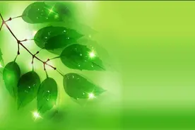 确定！白条也可以入账，不知道就亏大了！图片