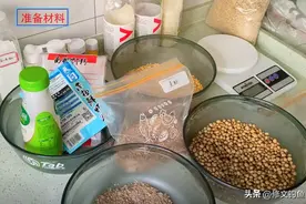 钓鱼干货：自制一款针对鲫鱼鲤鱼的高性价比饵料，野钓贼好用图片