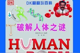 让孩子了解自己的身体构造：从DK翻翻书《破解人体之谜》开始图片