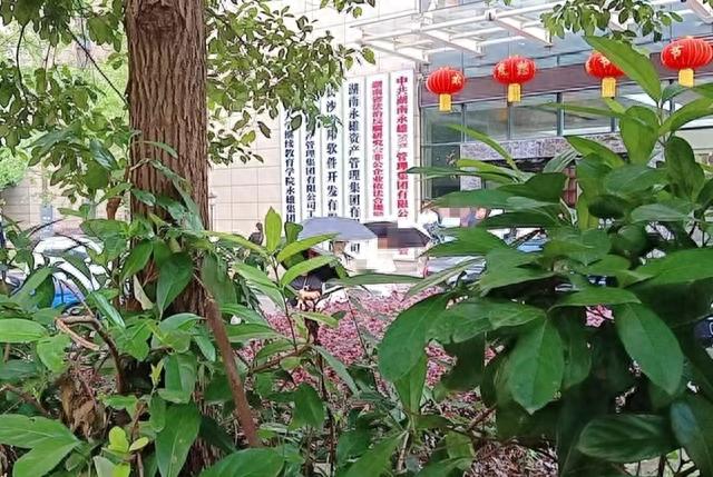 网贷逾期周末催，永雄集团是怎么讨债合法吗 配图02