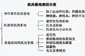 肌肉萎缩什么疾病引起的？有哪些症状？该如何处理？你想要的答案图片