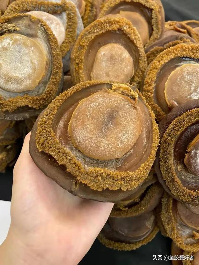 棉线花胶是什么鱼 英语四级没过考研英语能考多少分 棉线花胶是什么鱼 英语四级没过考研英语能考多少分