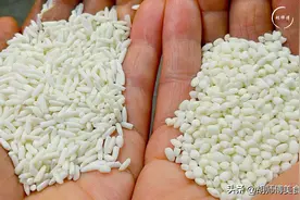 包粽子：买长糯米还是圆糯米？大厨：选错了，粽子不糯不香还反生图片