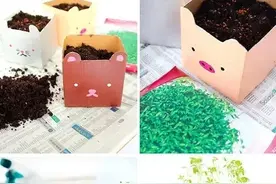 牛奶盒喝完就扔？小心丢了无价之宝！不说了，我要去捡回牛奶盒图片