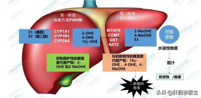 肝内钙化灶是个什么东西？