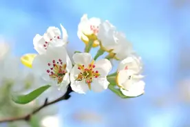 《增广贤文》精华10句，藏着社会生存的智慧！图片