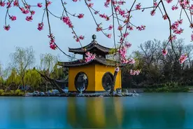 散文：世间从来没有完美，中年人生就是活好当下图片