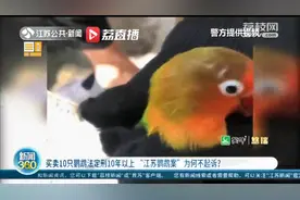 江苏费氏牡丹鹦鹉案决定不起诉：人工繁育野生动物宠物鸟和野外种群不能一刀切图片