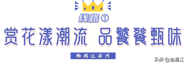 吃完花胶肚子疼 2026年吃完花胶肚子疼怎么办