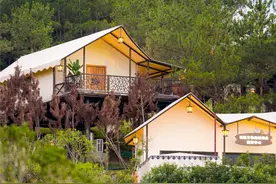 躲进武汉的森林小屋，和松鼠一起纳凉度假！图片