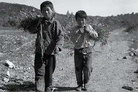 蓝田卢永信｜路在脚下（小说）图片