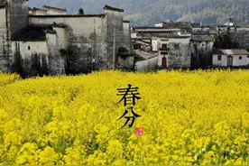 书童一一放牛娃图片