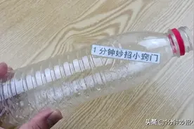 只需一个塑料瓶，家里的苍蝇轻松消灭，安全又省事，这方法真好图片