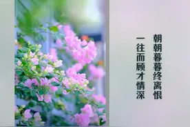舒心语录｜时间煮雨，岁月逢花，以欢喜之心，慢渡日常图片