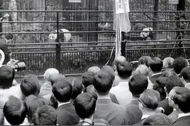 乘风而东，相邻为朋——纪念中日邦交正常化50周年图片