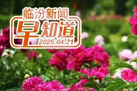 市商务局公告/尧都区养老服务设施布局专项规划公示/东城一幼儿园预计明年投入使用图片