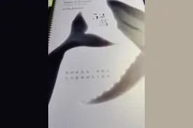 《52蓝》：跨越孤独的海，打开生命的出口图片