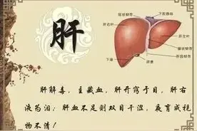 毒素一除，百病消!一碗“五脏排毒汤”比排便、流汗、断食更有效图片