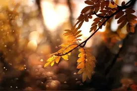 混到最后，一个朋友也没有的，有三种人图片