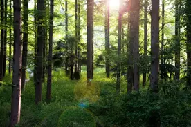 筷子10大禁忌，中国人不得不知！图片