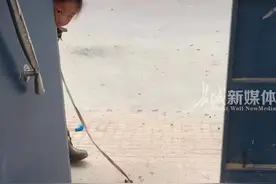 女孩出去玩抱回家一堆“癞蛤蟆” 妈妈：这是我最害怕的东西图片