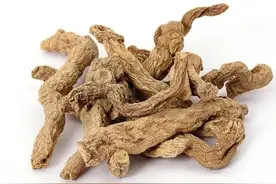 每天一味中药——苦参图片