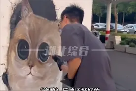 百万网友围观的猫咪涂鸦，仅4天就被恶意损毁，作画者：大家还沉浸在小美好中图片