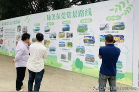 收藏打卡！东莞推出5条绿美东莞赏景路线图片