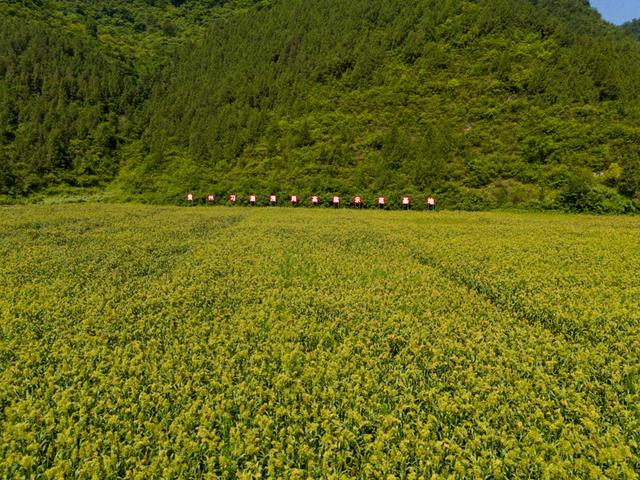 习酒之魂，在这方水土与人文之间｜摄影采风手记