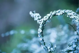 一个人遇事最有水平的处理方法：三个字图片
