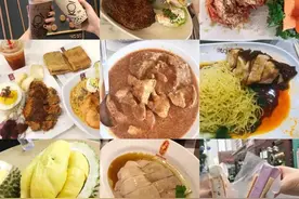 新加坡菜特点，肉骨茶是不是茶？图片