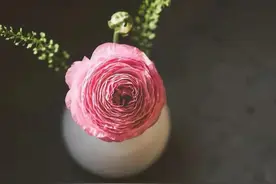 婆婆指责儿媳“好吃懒做”，却被儿子怼：妈，您不要那么多事儿图片