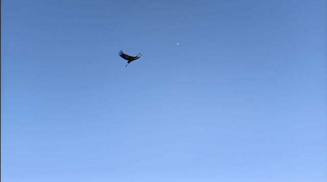 四川省民生研究会新媒体中心-官网