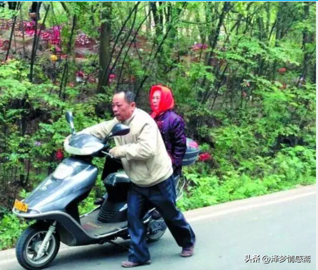 十三张人性图片——树欲静而风不止，子欲养而亲不在，值得一看