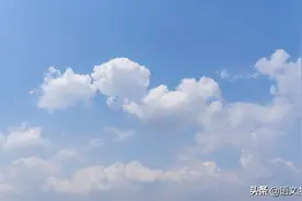 2022年中考作文模拟：“成长”主题作文9篇图片