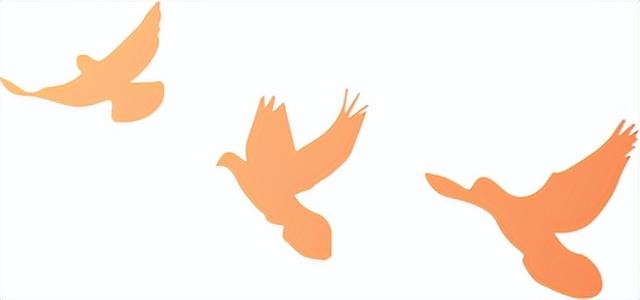 ϲӭ����� �滭�����̡����Ӱ��˴����Сѧ��ʦ�Ž��