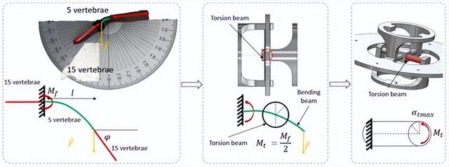 仿生优化？蛇体的弯曲模式，提高水上机器人的适应性