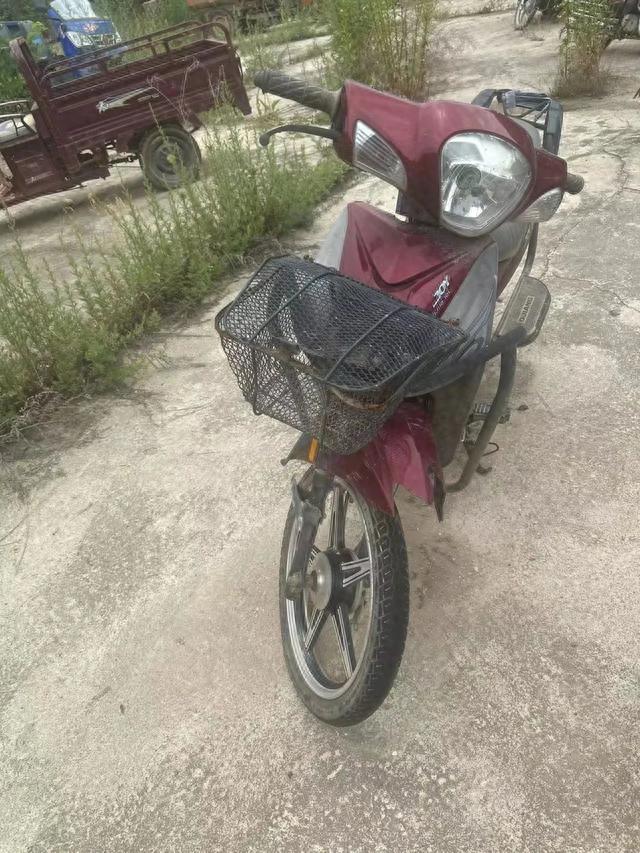 逾期办理注销手续的情况说明，逾期办理注销手续的情况说明怎么写 配图12