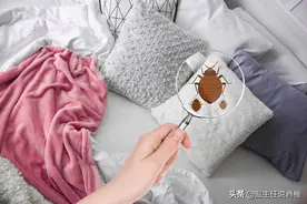 面部长痘、过敏瘙痒，为何？您可能每天都在与“菌”同眠图片