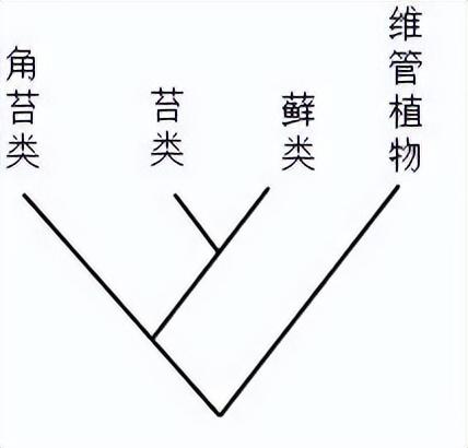 2021年全国中学生生物学联赛试题