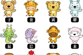 各个国家的十二生肖图片