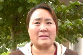女子扶老人反被诬陷后续：警方回应，老人子女现身，真相出人意料图片