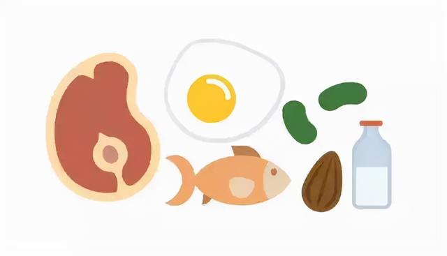 海洋生物蛋白质的作用 2026年海洋生物蛋白质的作用有哪些 海洋生物蛋白质的作用 2026年海洋生物蛋白质的作用有哪些