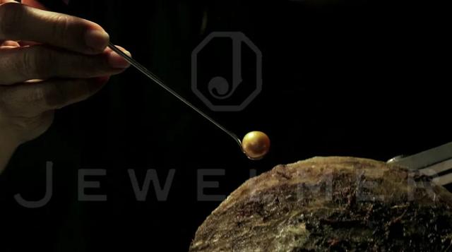 「干货」南洋金珠专题直播精彩集锦，专家教你怎么看南洋珍珠