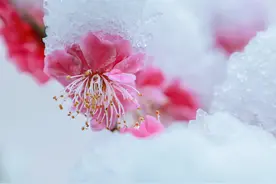 散文：随遇而安，才是最好的生活态度图片