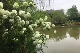 洞察陷阱 精准比对——南充“二诊”论述类文本阅读试题剖析图片