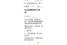 不能代表东北的几个超俗气的词图片